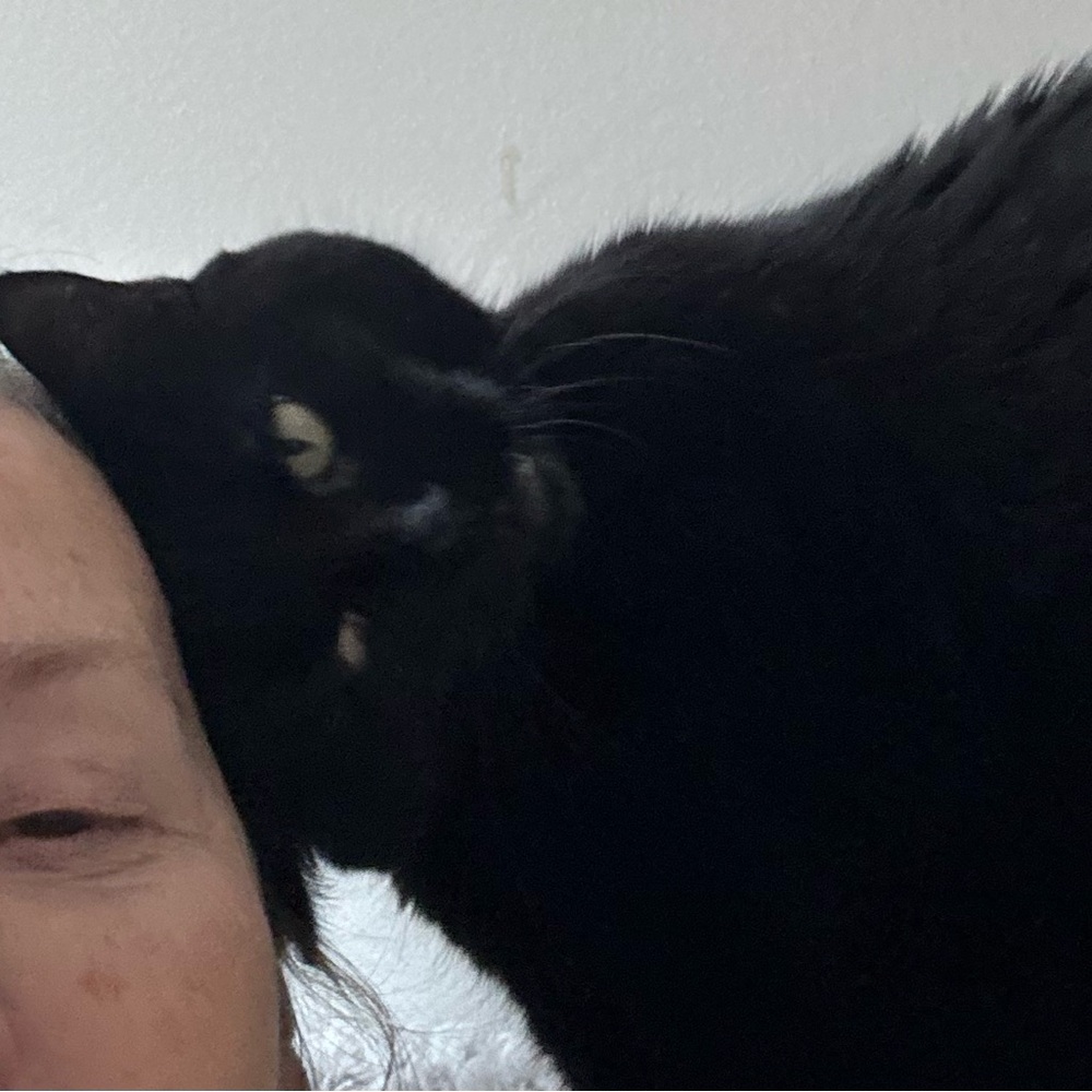 Meet your Poshers, Anne and Baby